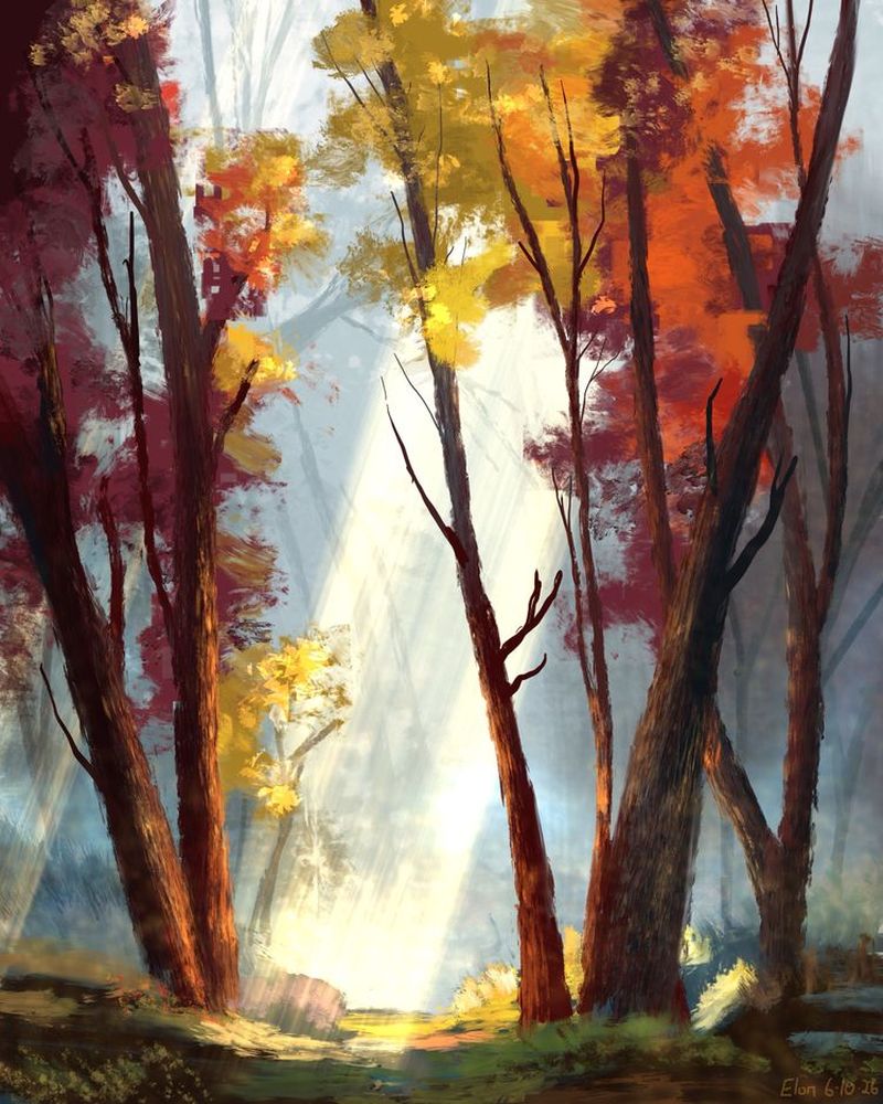 This Forest
