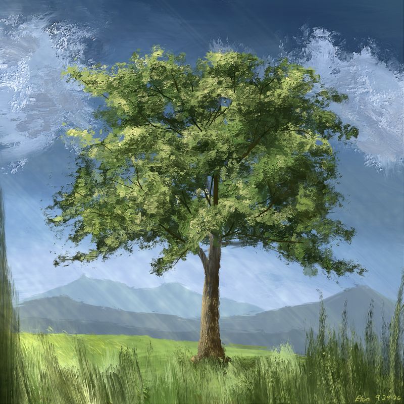 Solitary Tree