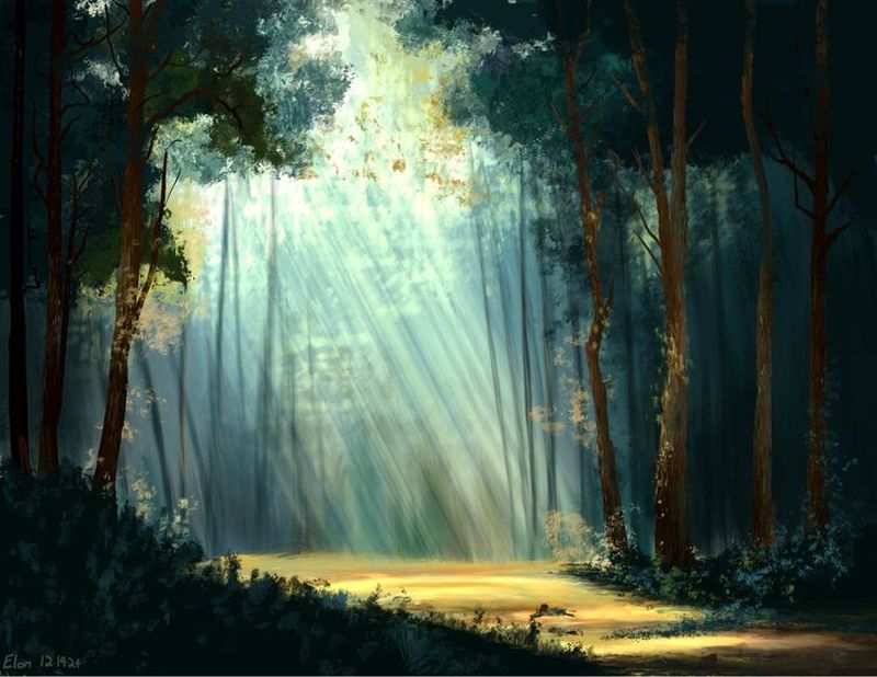 Forest of the Great Bonanza