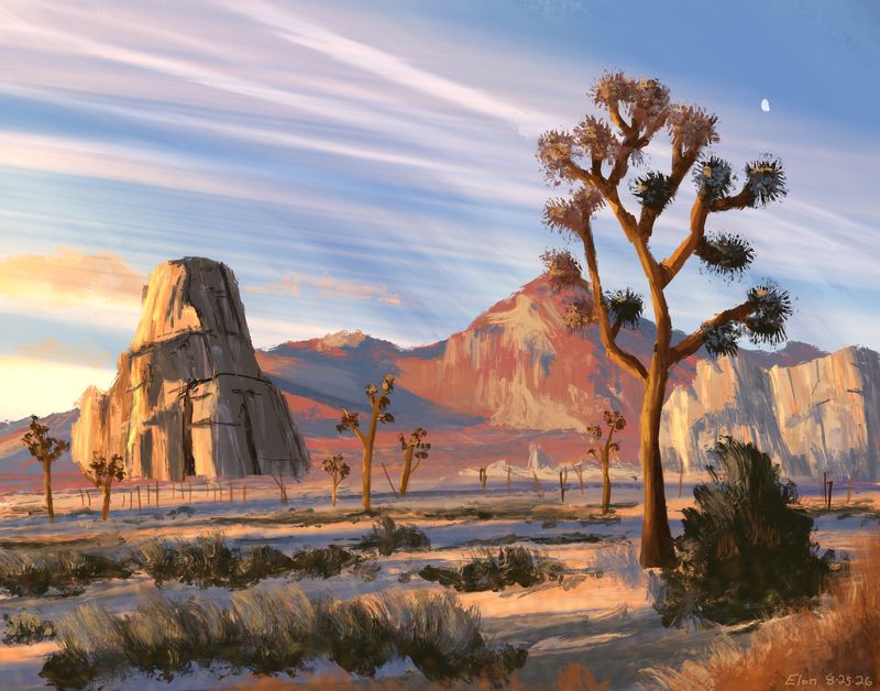 Joshua Tree As I Like It