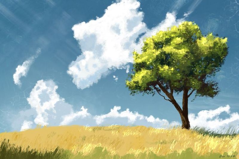 Another Tree in Another Way