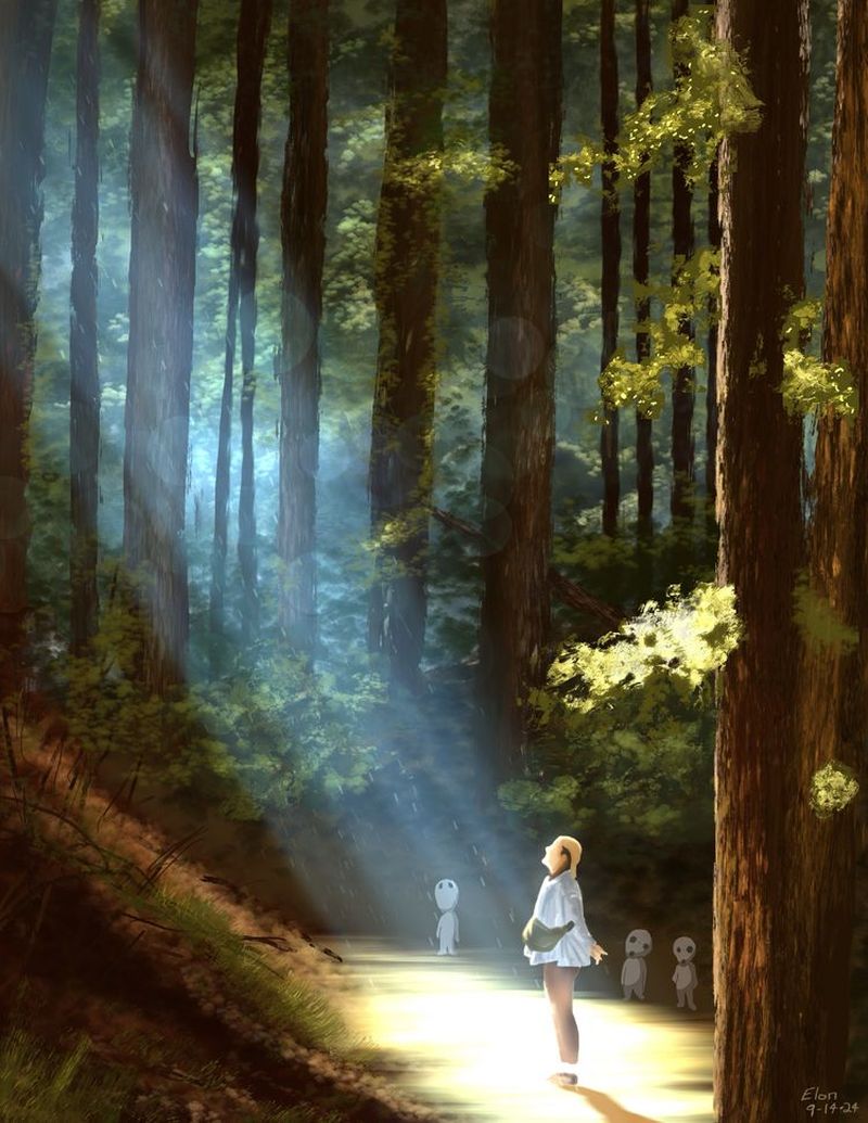Redwoods Adventure